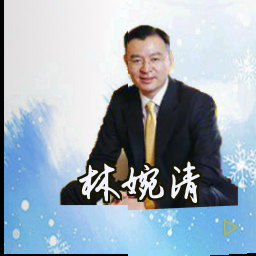林婉清